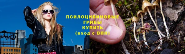 герыч Няндома