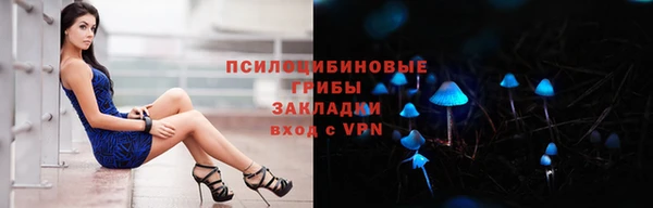 герыч Няндома