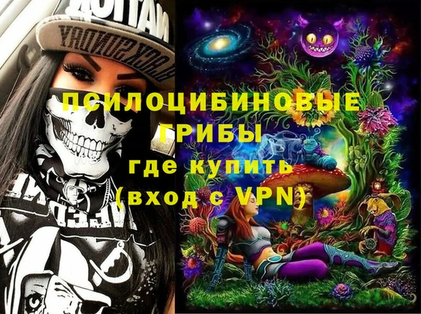 герыч Няндома