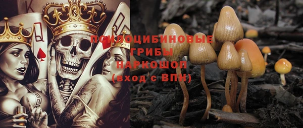 МДПВ Нязепетровск