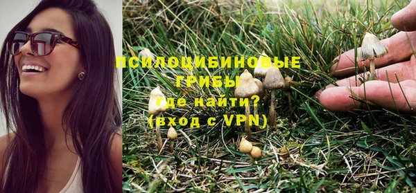 МДПВ Нязепетровск
