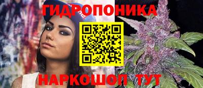 эйфоретик Абинск