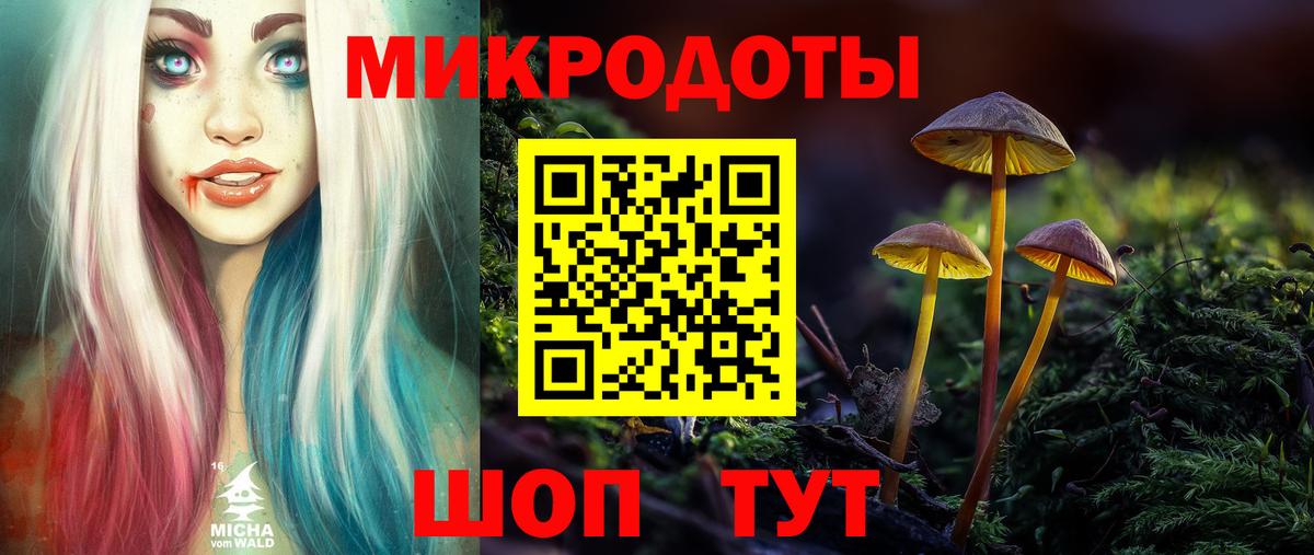 Галлюциногенные грибы Magic Shrooms  закладки  Александров  Вход с VPN 