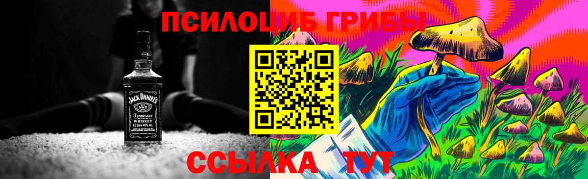 Александров  Псилоцибиновые грибы ЛСД  Вход с VPN 