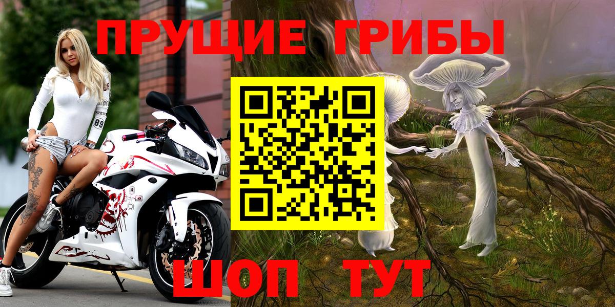 Псилоцибиновые грибы мицелий  Александров 